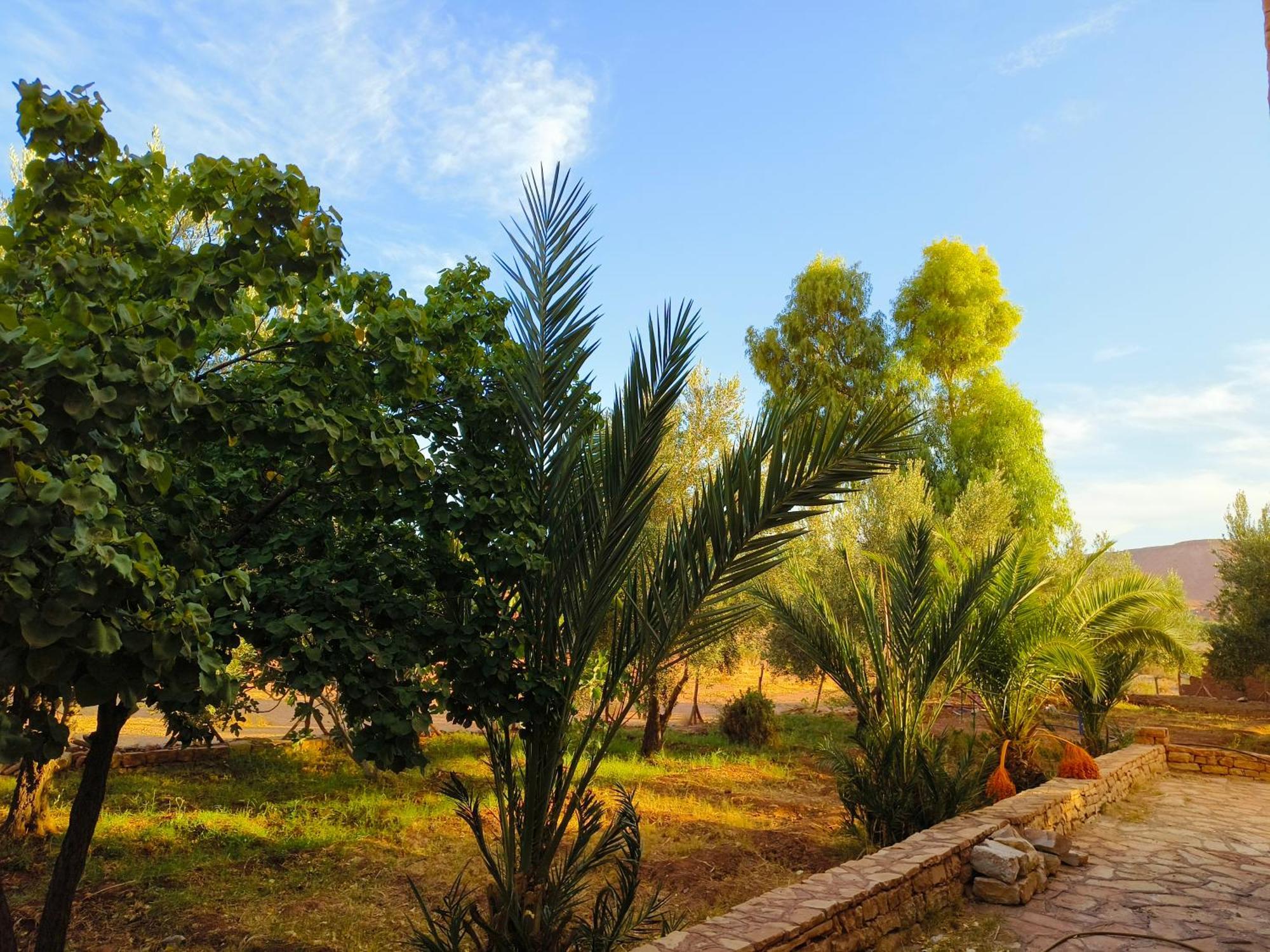 Kasbah Imini Bed & Breakfast Amerzgane Bagian luar foto